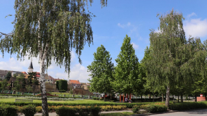 V Přerově zanalyzují stav stromů a veřejného osvětlení