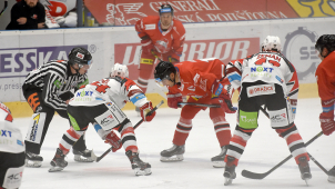 Mora si doma poradila s Pardubicemi