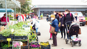Co nabízí Selské trhy na Floře? Podívejte se!