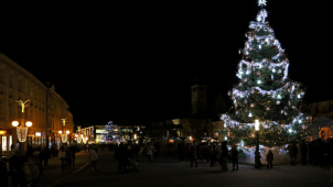 Občané Prostějova vybírají jméno vánočního stromečku