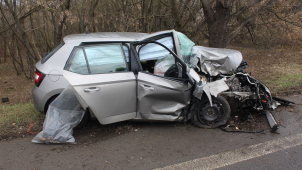 S autem narazila do stromu. Poté nadýchala přes 2, 5 promile