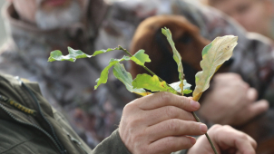 Přijďte zasadit stromy a podpořit tím dobrou věc