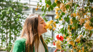 Výstava Flora Olomouc vezme návštěvníky do Galaxie květin
