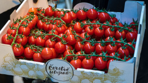 Znáte dobroty od regionálních farmářů a výrobců?