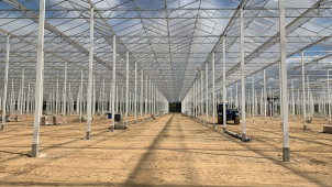 U Kostelce na Hané roste další monstr skleník na rajčata