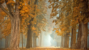 Nedělní teploty se budou motat kolem desítky