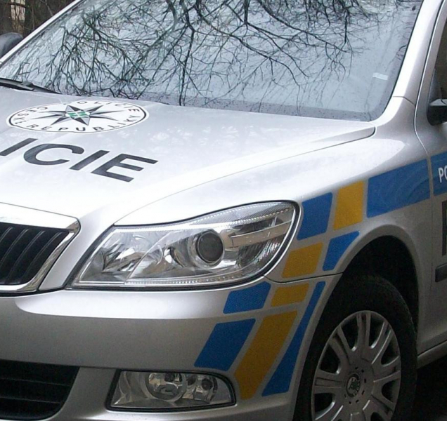 Policie navrhla z vraždy tříleté dívenky obvinit matku