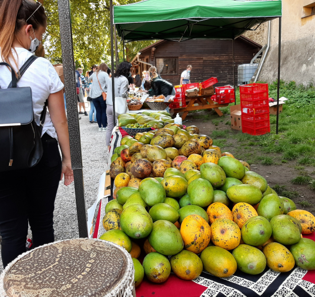 Kam o víkendu? Na Africké trhy, hrad i koncert v Dómu