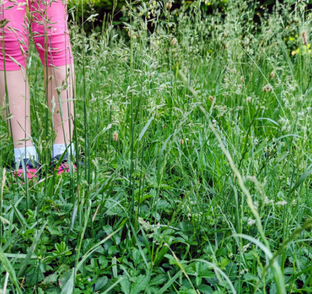 Technické služby města Olomouce řeší problém se sekáním trávníků