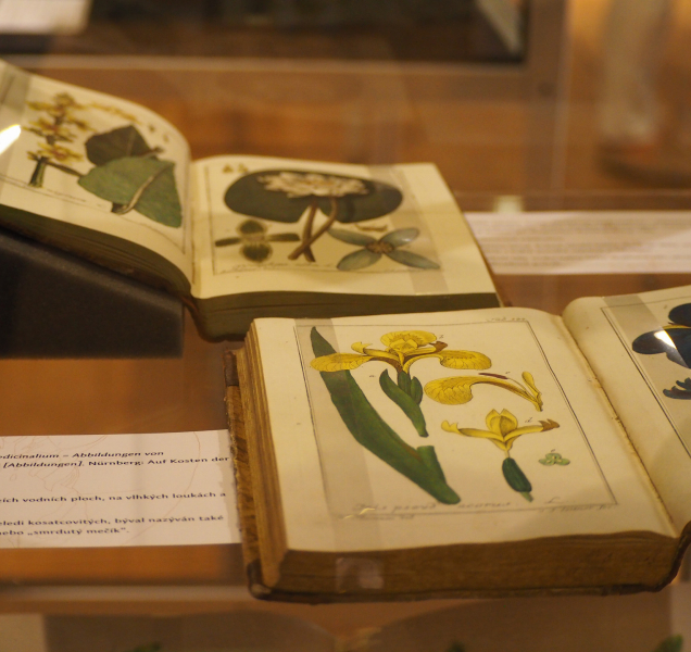 Pevnost poznání vystaví vzácné herbáře z Vědecké knihovny Olomouc