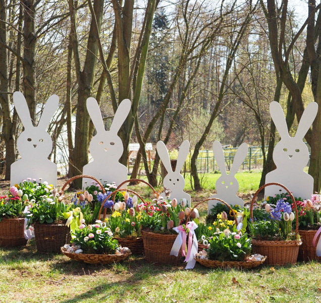 Komentovaná krmení po celý víkend