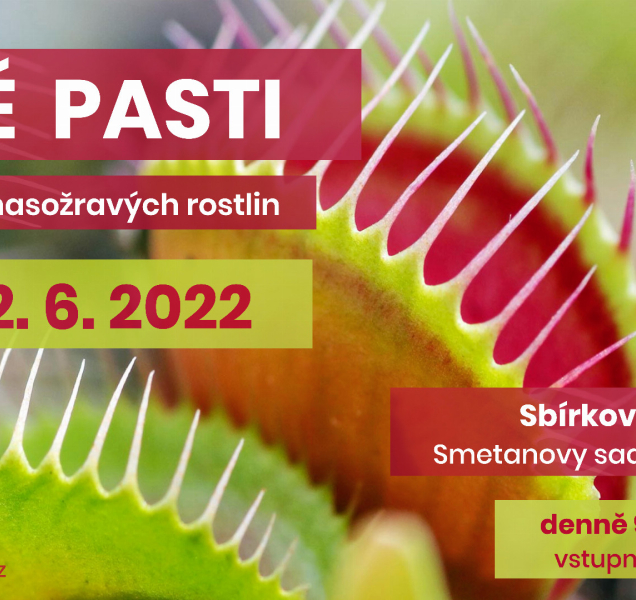 Živé pasti, to je výstava masožravých rostlin