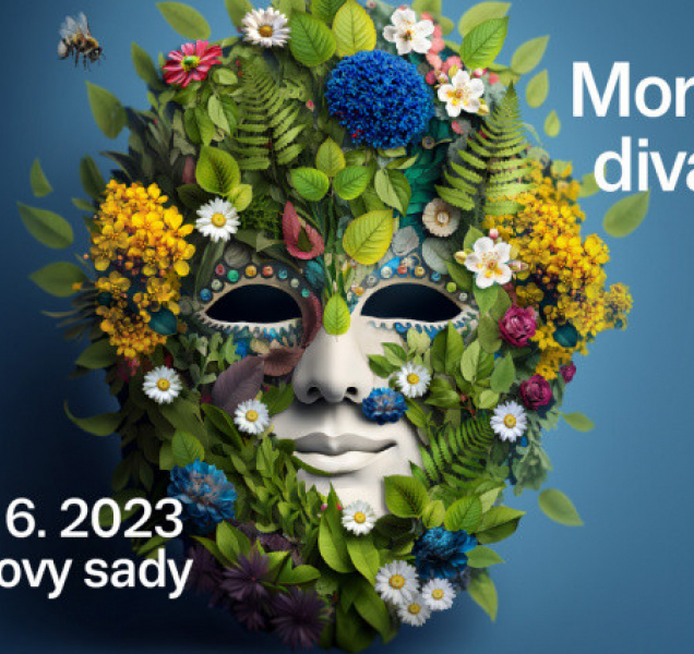 Balet, divadlo a hudební pohádka Svěráka a Uhlíře