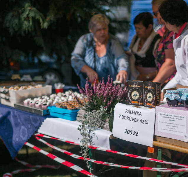 Na borůvky? Do Malé Morávky