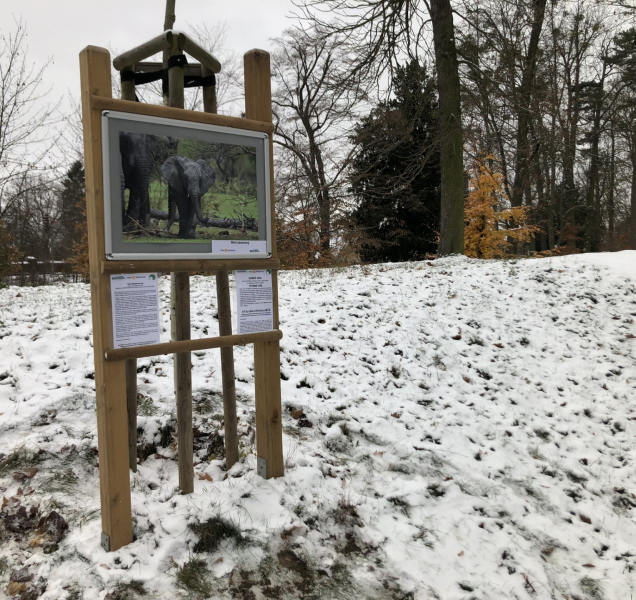 V zámeckém parku ve Velké Bystřici potkáte slony
