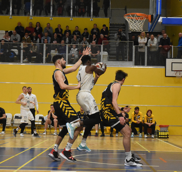 Třetí pokus BK REDSTONE o domácí výhru nad Slavií