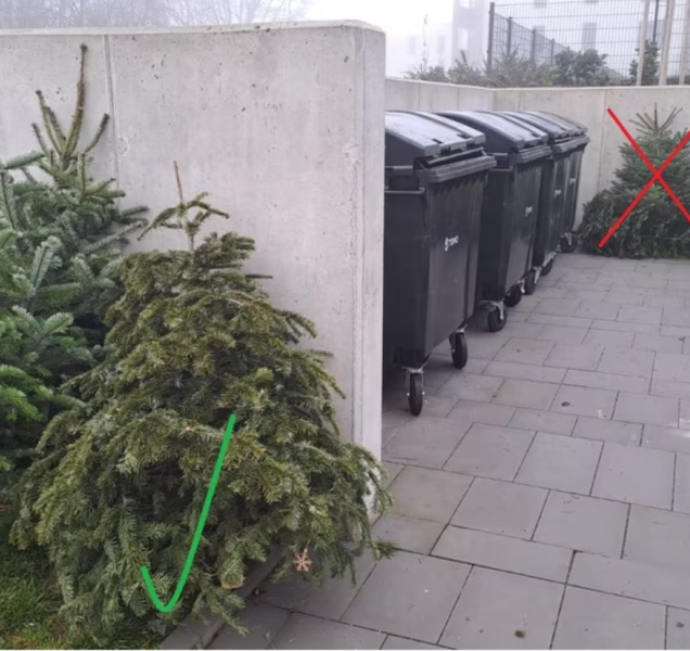 Máte doma ještě stromeček? Svoz pokračuje i v únoru