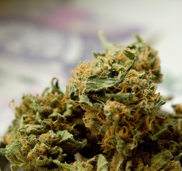 Kriminalisté dopadli trojici dealerů pervitinu