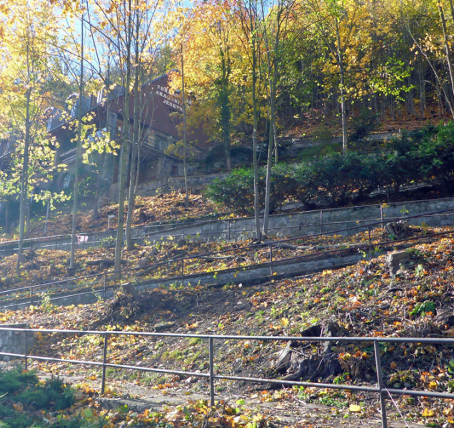 V parku ve Zbrašovských jeskyních jsou tisíce nových stromů