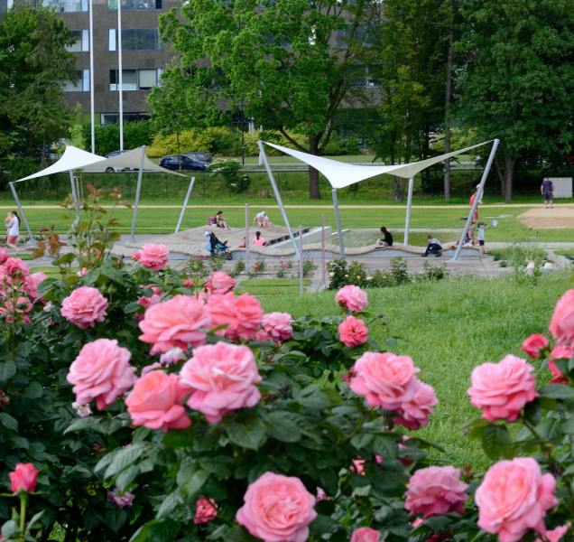 Flora připravuje komentované prohlídky palmového skleníku