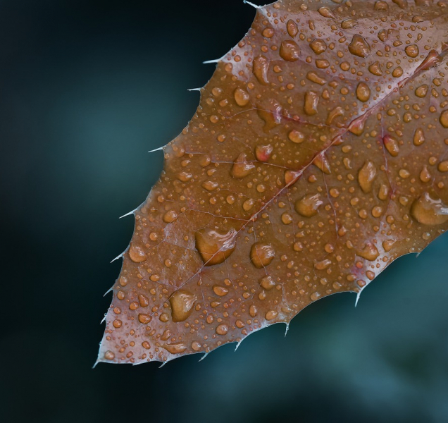 Během dne bude pršet, ve vyšších polohách se objeví sníh