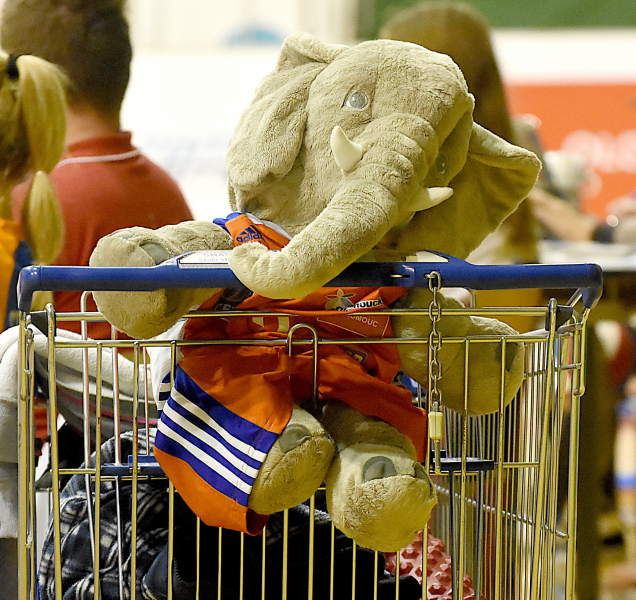 Program sportovních akcí na Olomoucku