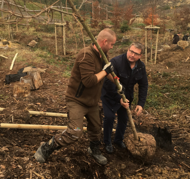Že umí pracovat, dokázali v zoo při sázení stromů i politici