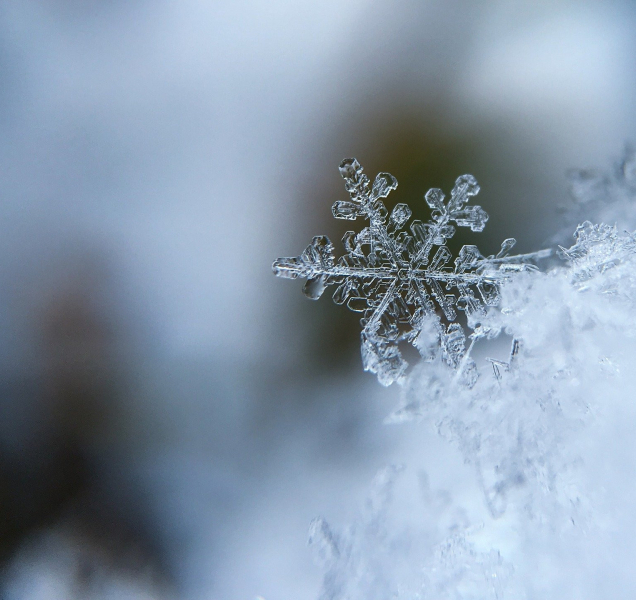 Začátek týdne v kraji bude studený, někde bude i sněžit