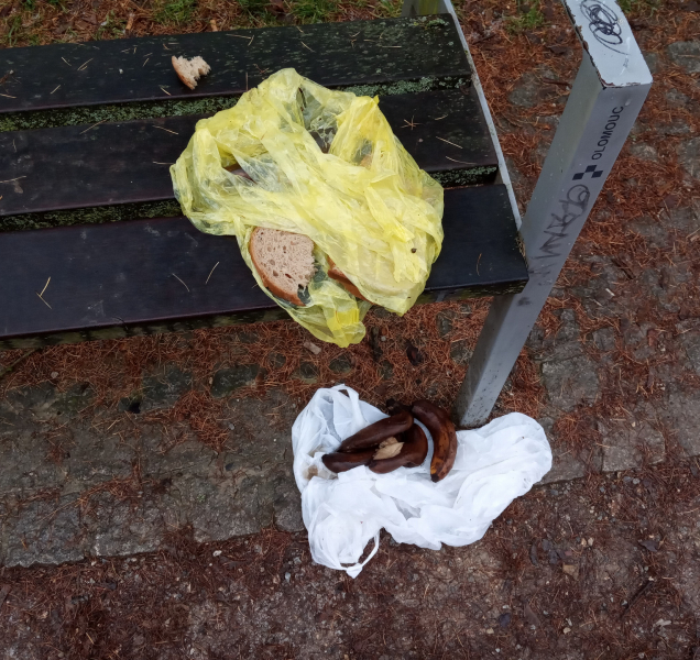 Achillovy paty Olomouce: odpadky v parku