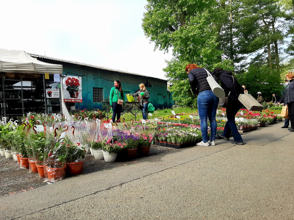 Letní Flora: Do Áčka jen 500 lidí najednou a s rouškami