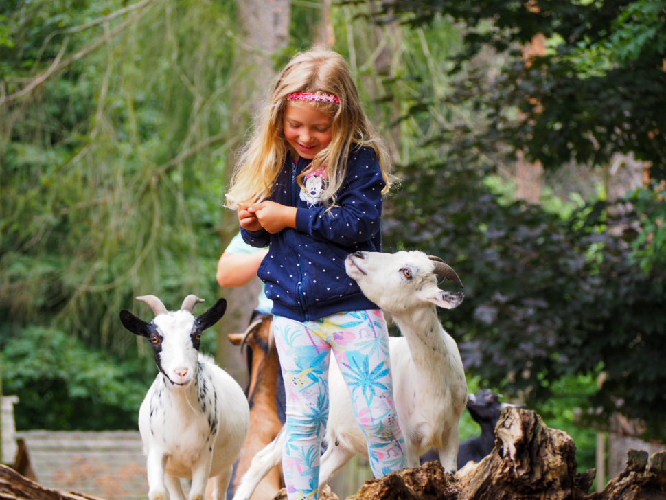 Lidé zvířatům v olomoucké zoo darovali necelých 7,5 milionu korun