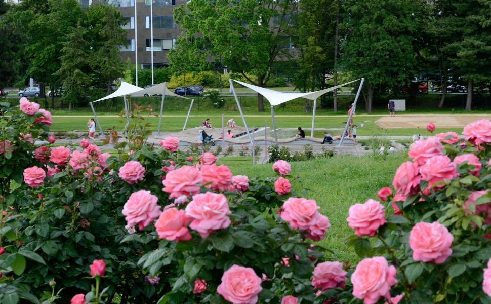 Olomoucký kraj turisty láká. Skokanem roku je botanická zahrada