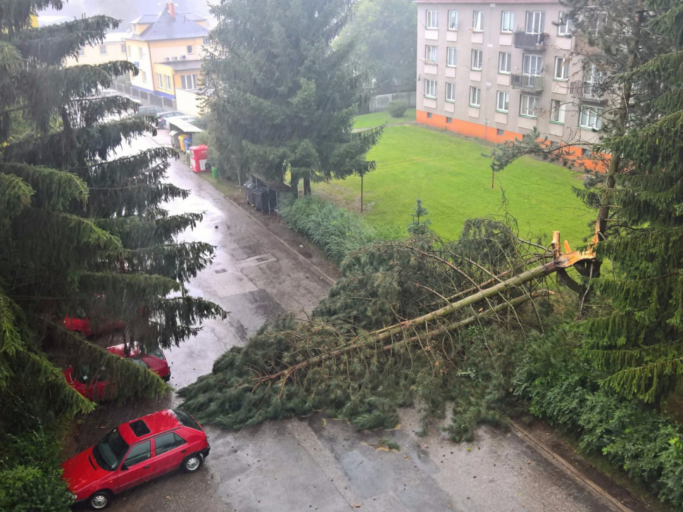 Pozor na parkování pod stromy, varují po bouři odborníci