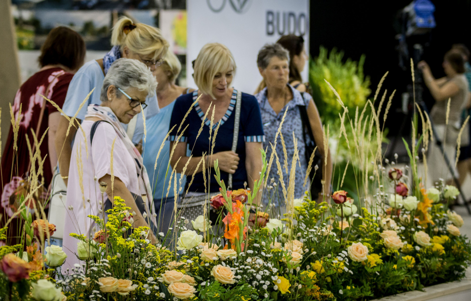 Olomouc jedná o tom, zda bude letní Flora